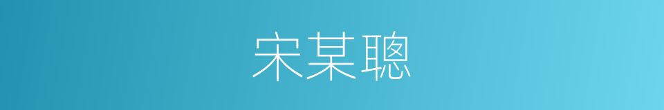 宋某聰的同義詞