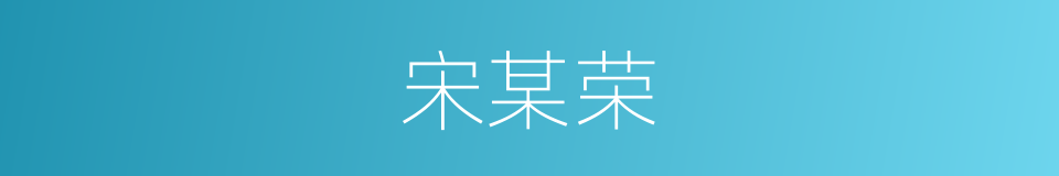 宋某荣的同义词