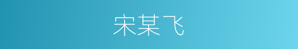 宋某飞的同义词
