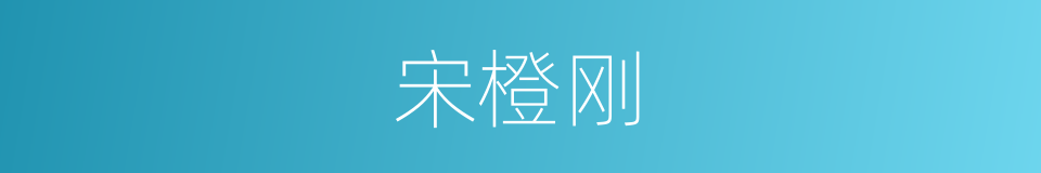 宋橙刚的同义词