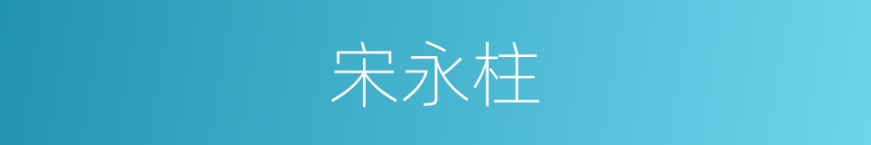 宋永柱的同义词