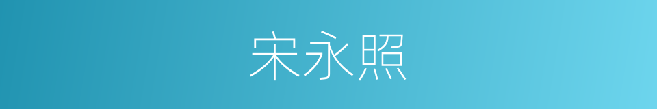宋永照的同义词