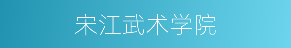 宋江武术学院的同义词