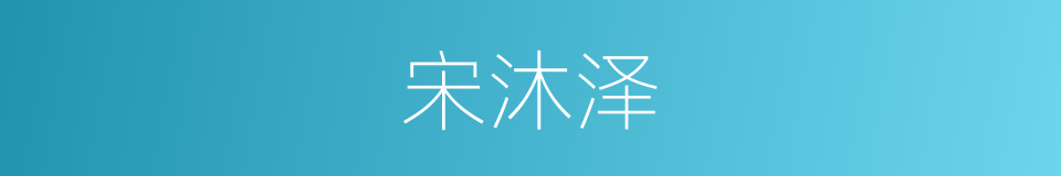 宋沐泽的同义词