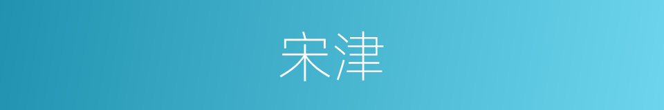 宋津的同义词
