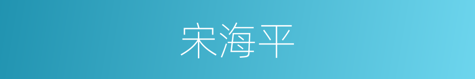宋海平的同义词
