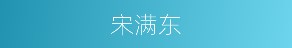 宋满东的同义词