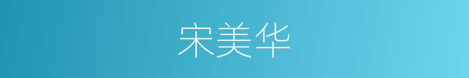 宋美华的同义词