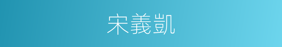 宋義凱的同義詞