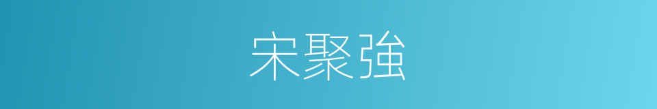 宋聚強的同義詞