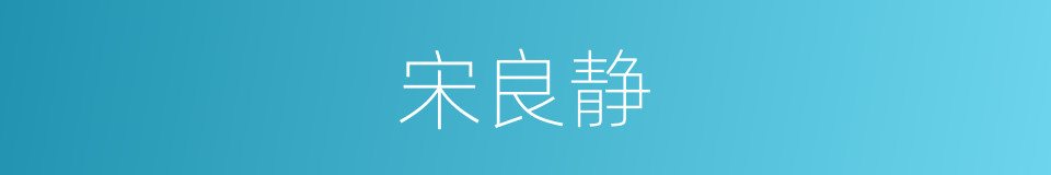 宋良静的同义词