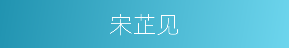 宋芷见的同义词
