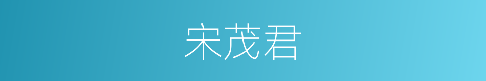 宋茂君的同义词