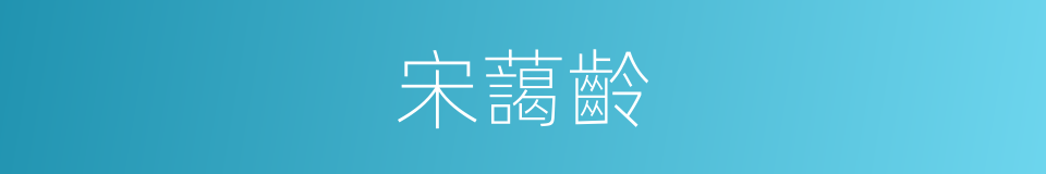 宋藹齡的同義詞