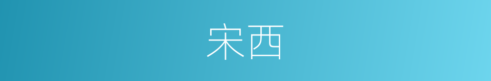 宋西的同义词