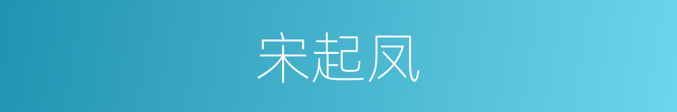 宋起凤的同义词