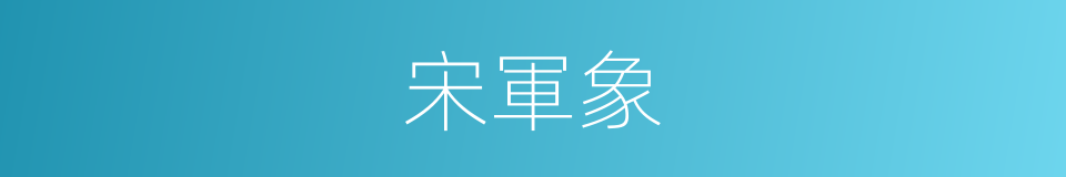 宋軍象的同義詞