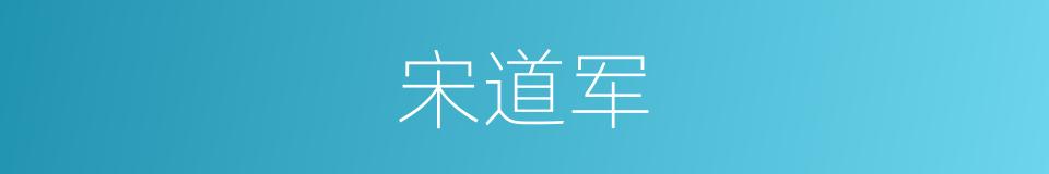 宋道军的同义词