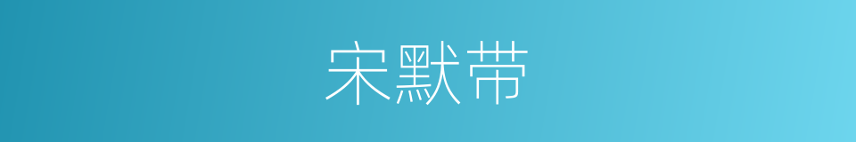 宋默带的同义词