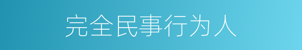 完全民事行为人的同义词