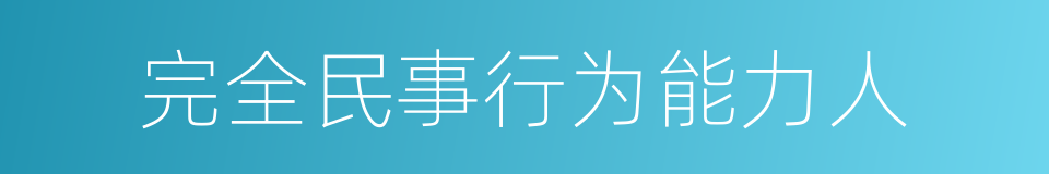 完全民事行为能力人的同义词