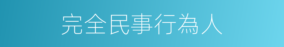 完全民事行為人的同義詞