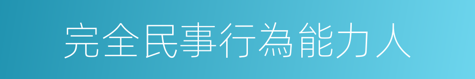 完全民事行為能力人的同義詞