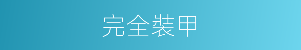 完全裝甲的同義詞