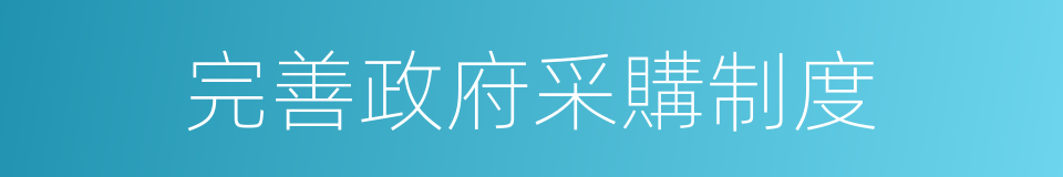 完善政府采購制度的同義詞