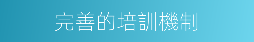 完善的培訓機制的同義詞