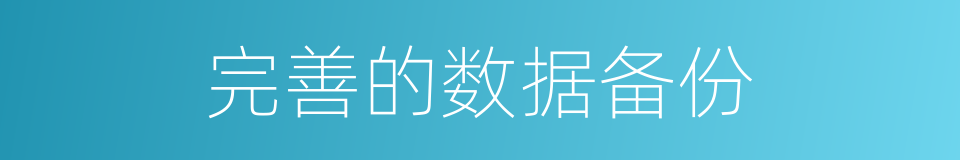 完善的数据备份的同义词