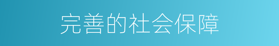 完善的社会保障的同义词