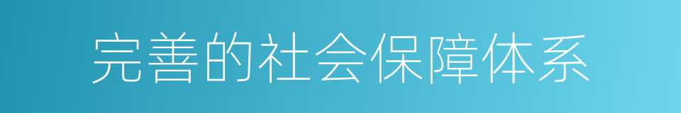 完善的社会保障体系的同义词