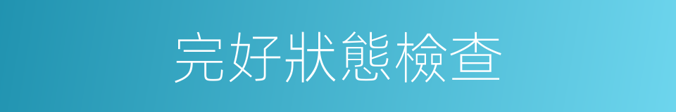 完好狀態檢查的同義詞