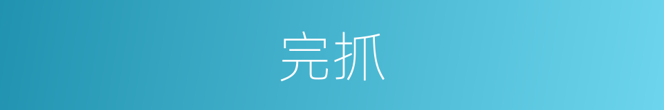 完抓的同义词