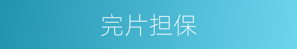 完片担保的同义词
