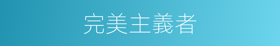 完美主義者的同義詞