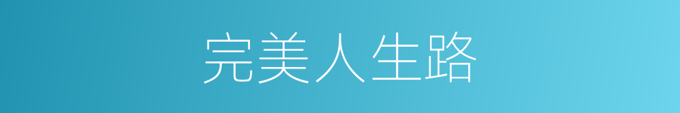 完美人生路的同义词