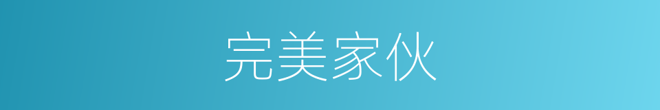 完美家伙的同义词