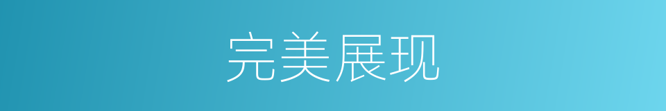 完美展现的同义词