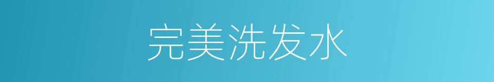 完美洗发水的同义词