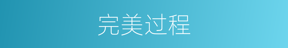 完美过程的同义词