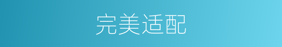 完美适配的同义词