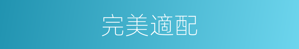 完美適配的同義詞