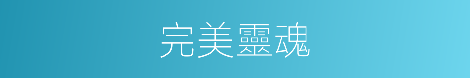 完美靈魂的同義詞