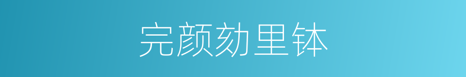 完颜劾里钵的同义词