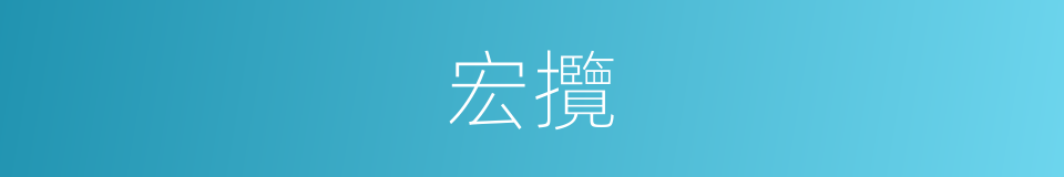 宏攬的同義詞