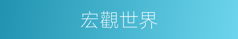 宏觀世界的意思