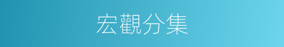 宏觀分集的同義詞