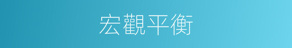宏觀平衡的同義詞